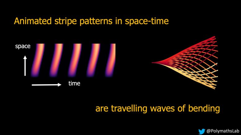 Animated Stripe Patterns in Time