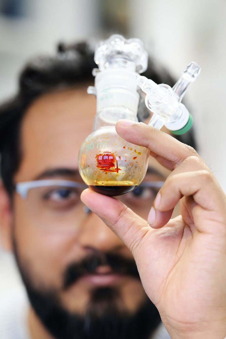 Ankur and Pentasilacyclopentadienide