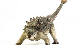 Ankylosaurus Illustration