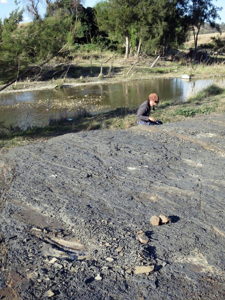 Anne-Laure-Decombeix-Excavating-Barraba-