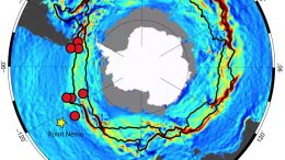 Antarctic Circumpolar Current