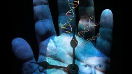 Anthropological Information Evolution Genetics
