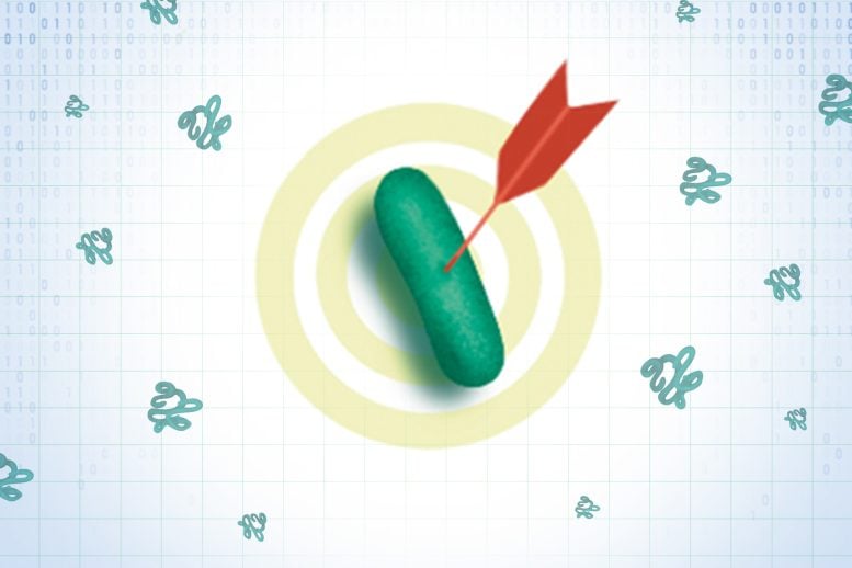 Antibiotic Selection Processes Driven by AI