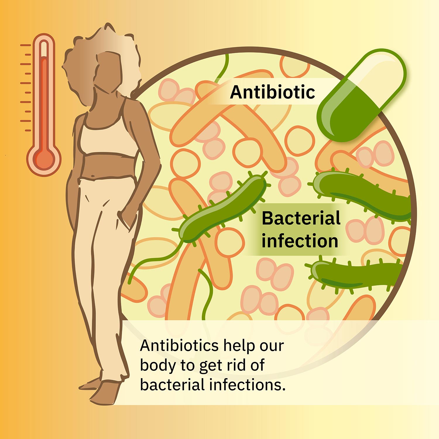 Infografía de antibióticos 1