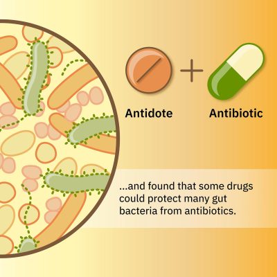 Antibiotics Infographic 3