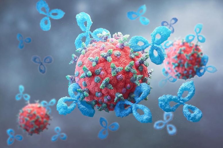 Antibodies Attack Cancer Cell Virus