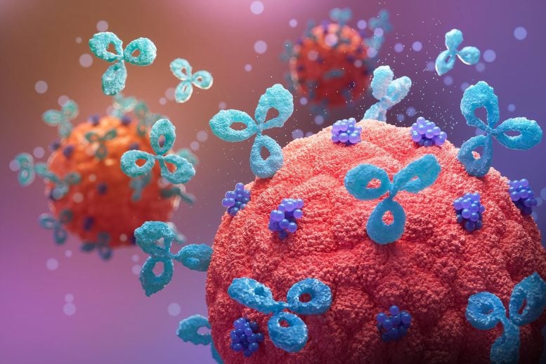 Antibodies Attack Cancer Cells Bacteria