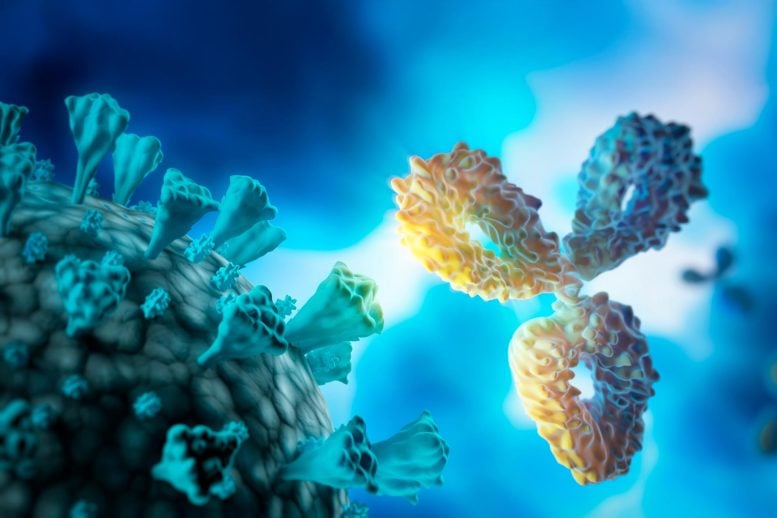 Antibody Virus Molecular Model