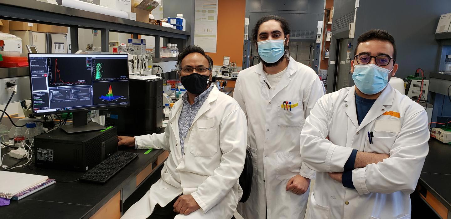 A Balanced Intake of Antioxidants Could Prevent Alzheimer’s Disease