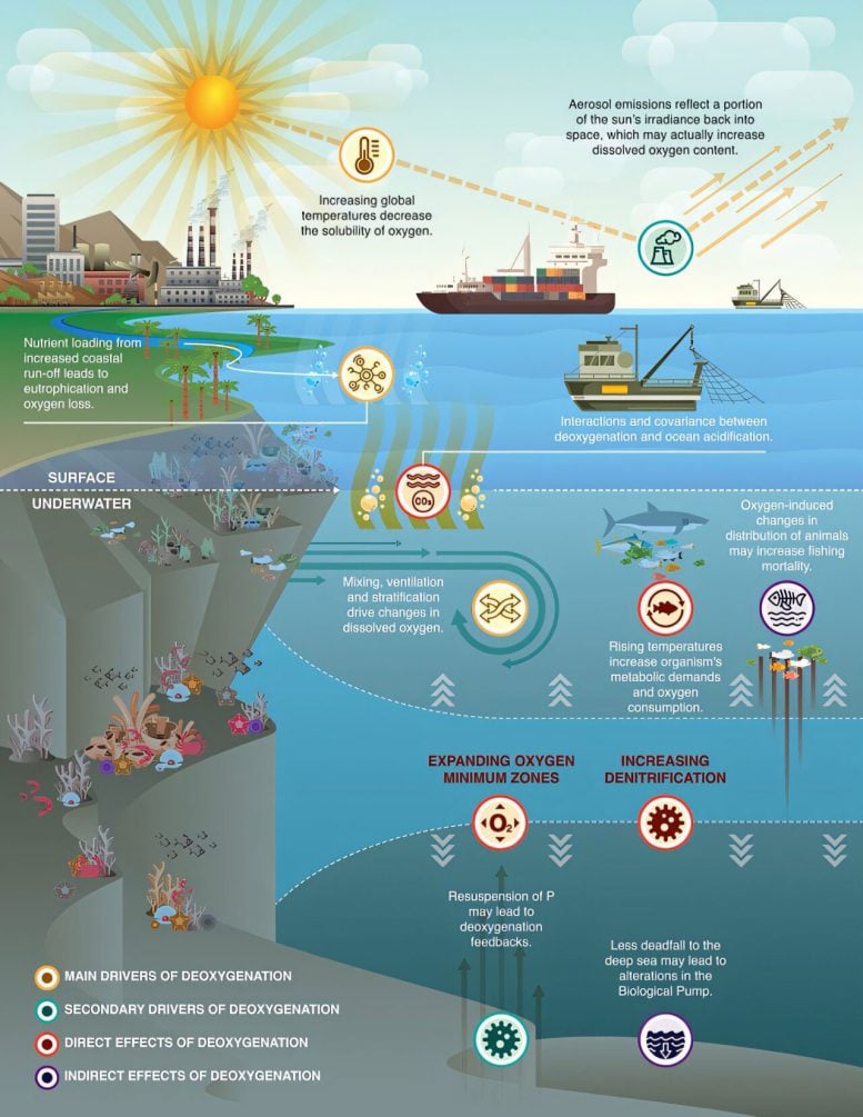 Aquatic Deoxygenation and Planetary Boundaries Diagram