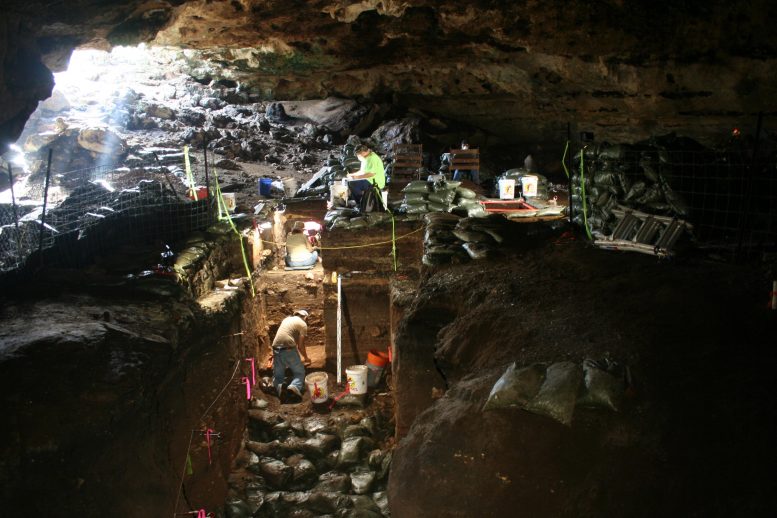 Archaeologic Excavations Hall's Cave