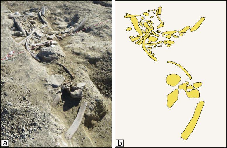 Archaeological and Paleontological Deposit of Casal Lumbroso