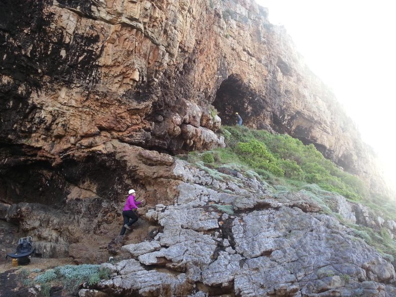 Binlerce Yıllık İşbirliği