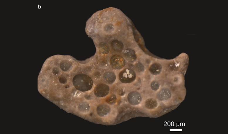 Archaeologists Discover Fossilized Oxygen Bubbles