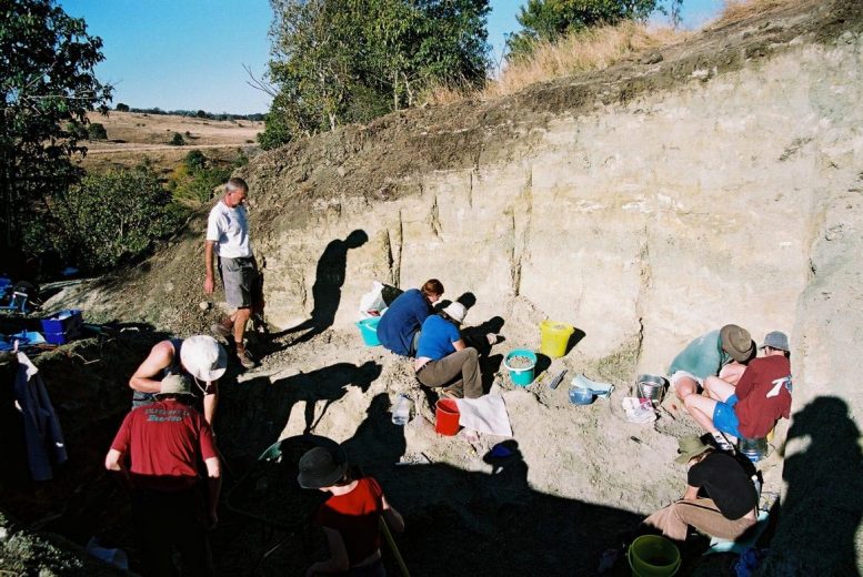 Archaeologists Excavating Fossils at Murgon