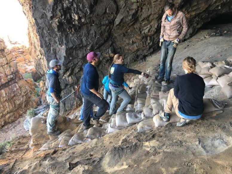 Archaeologists at the Field Site