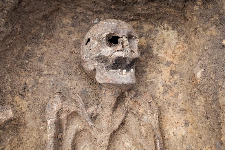 Archaeology Skull Grave