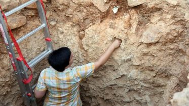 Archaeology Trench Greece