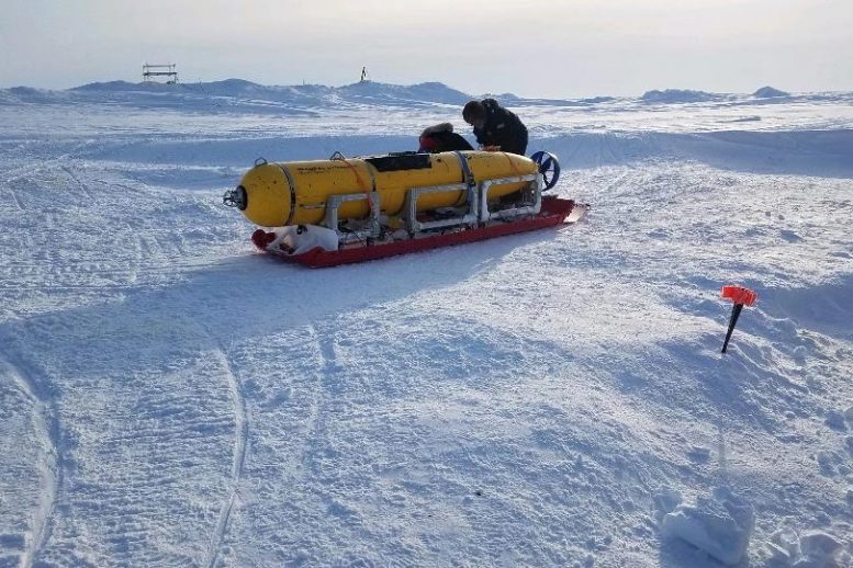 Arctic Autonomous Underwater Vehicle