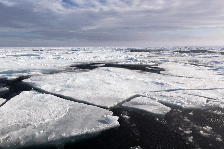 Arctic Ice Floe