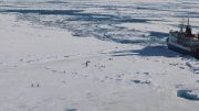 Arctic Research on the Sea Ice