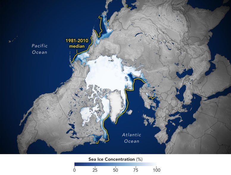 Arctic Sea Ice Average Concentration February 2022