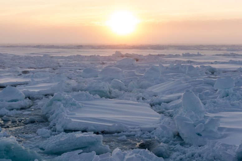 Arctic Sea Ice at Sunset
