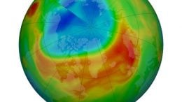 Arctic Stratospheric Ozone March 2020