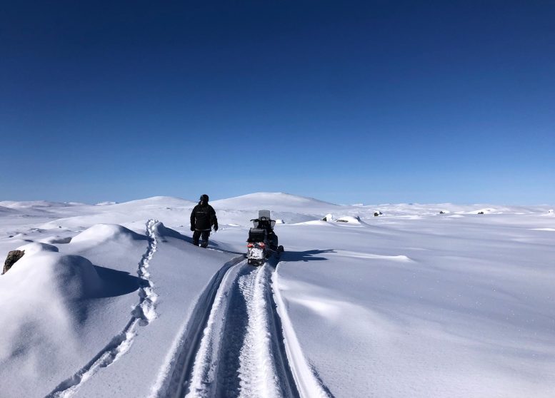 Arctic Wildlife Rangers