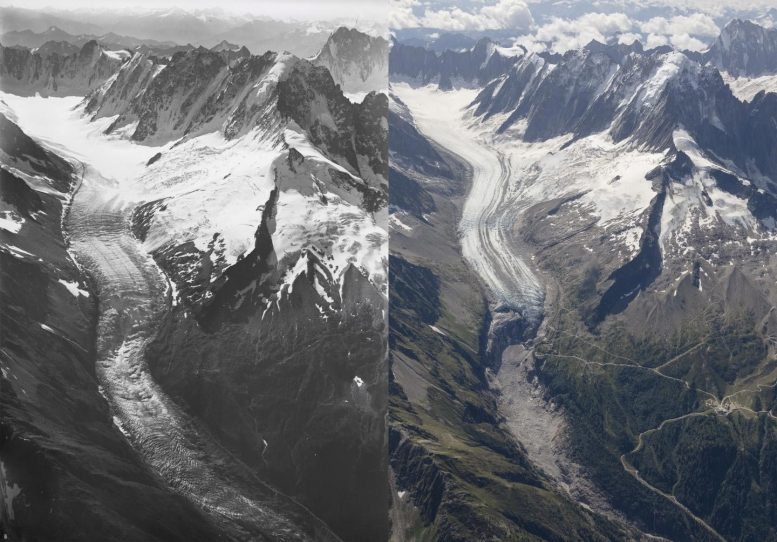 Argentiere Glacier 1919 to 2019