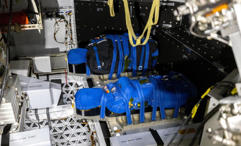 Artemis I Radiation Phantoms Inside Orion