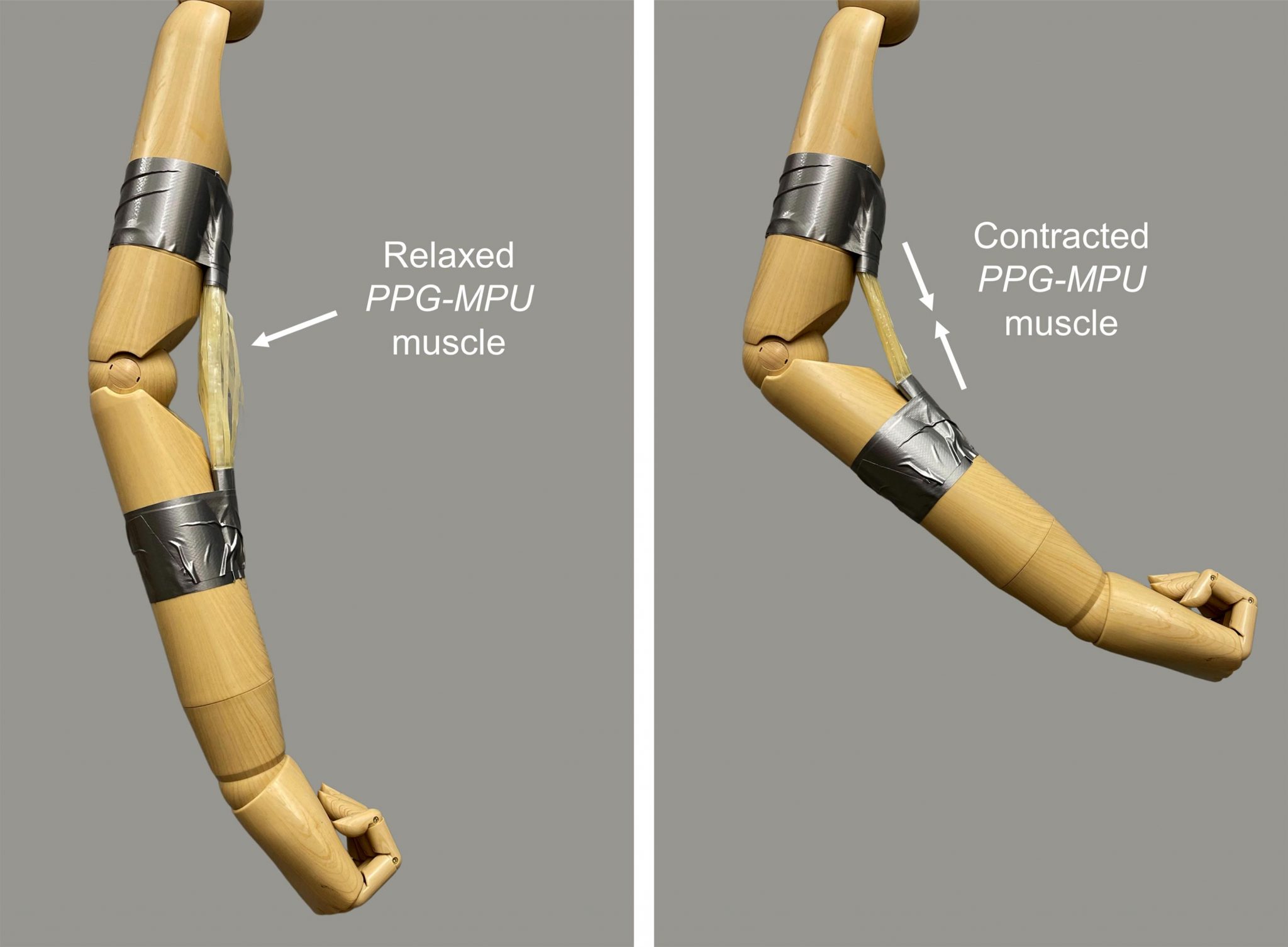 High Energy Shape Memory Polymer Could Help Robots Flex Their Muscles High Energy Shape Memory Polymer Could Help Robots Flex Their Muscles