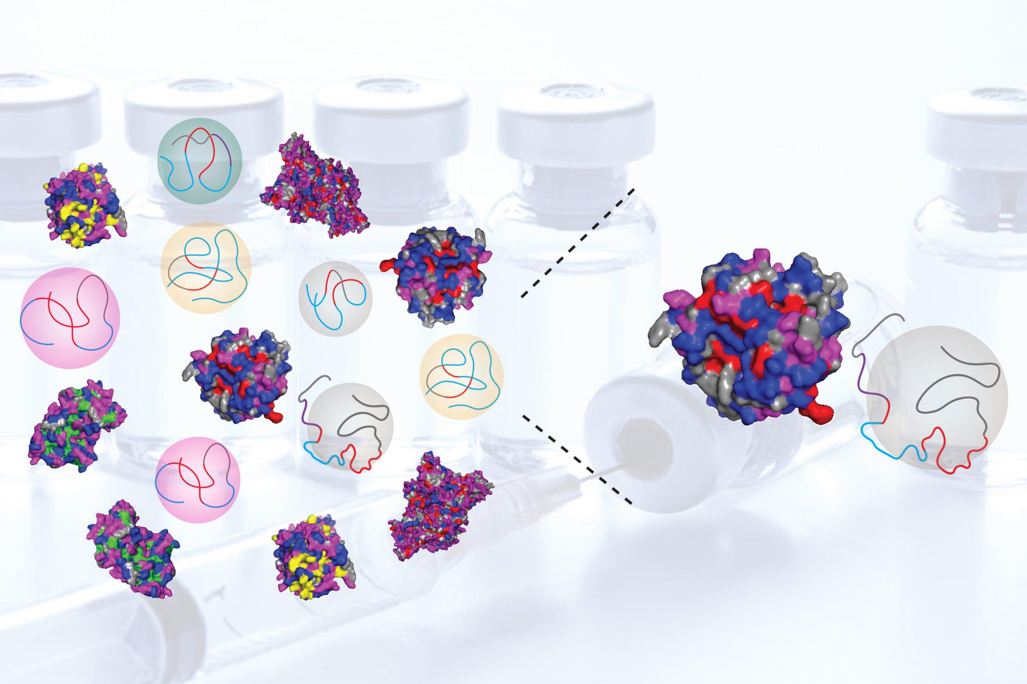 Can Synthetic Polymers Replace the Body’s Natural Proteins?