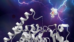 Artificially Evolved Enzyme Breaking a Silicon Carbon Bond