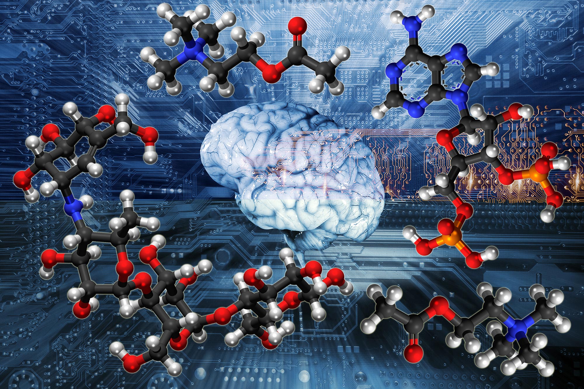 Novel Molecules Designed by Artificial Intelligence May Accelerate Drug