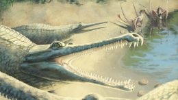 Artist Impression Mystriosaurus