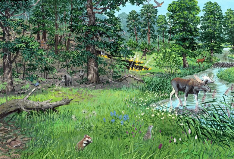 Artist Reconstruction of Early Holocene Landscape