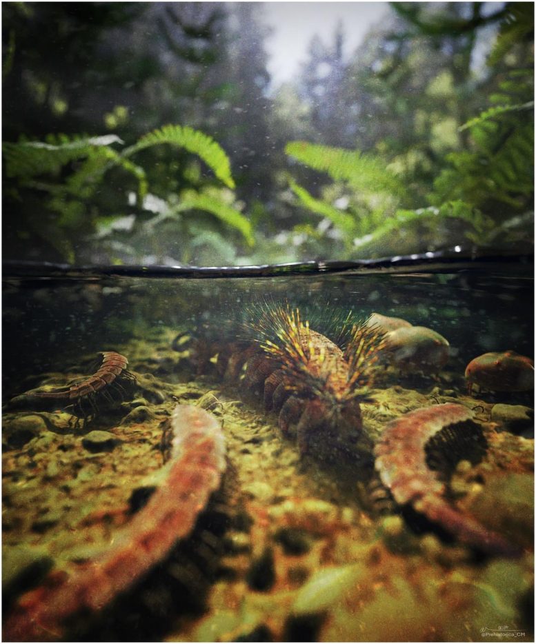 Artistic Environmental Reconstruction of the Montceau Les Mines Lagerst&auml;tte