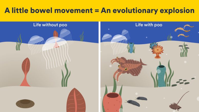 Artistic Illustration of Cambrian Coprolite Ecosystems