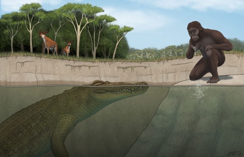 Artistic Illustration of Lucy&rsquo;s Hunter Crocodile