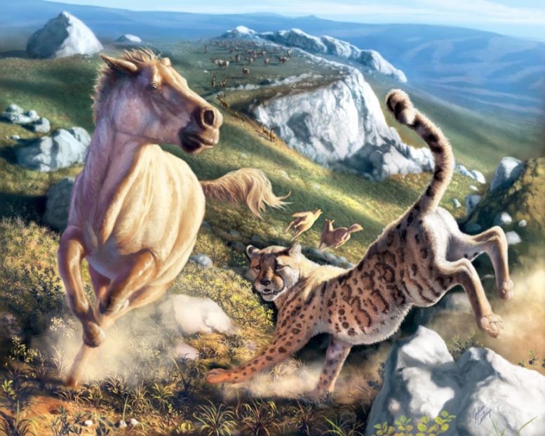 Artistic Illustration of Miracinonyx Hunting Prey