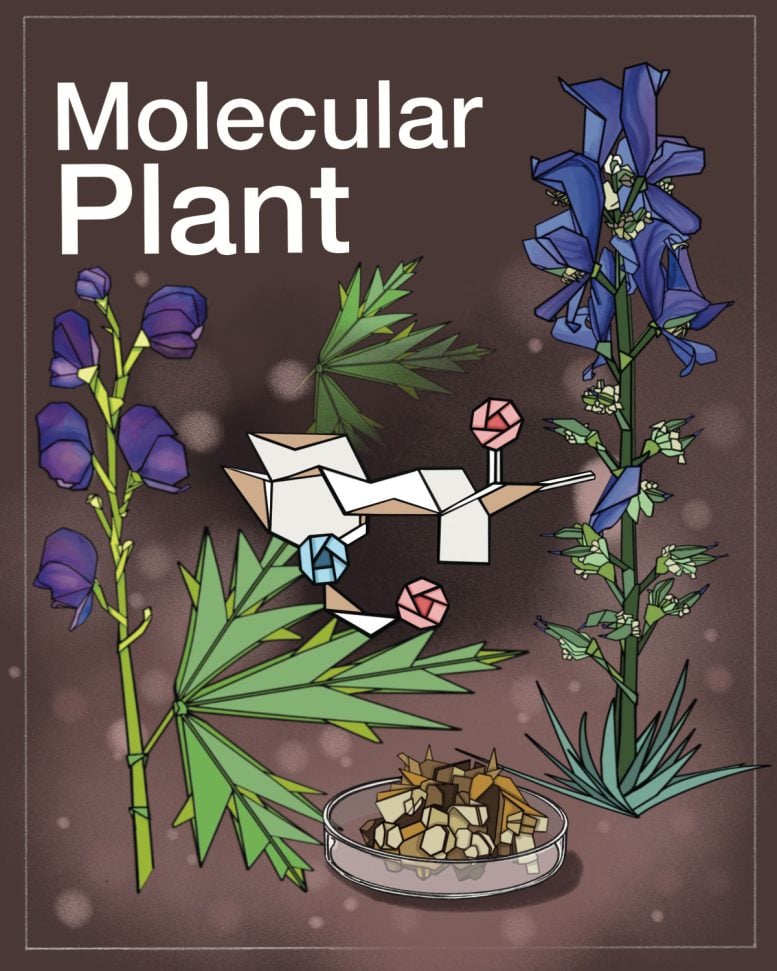 Artistic Illustration of Wolfsbane and Atisinium