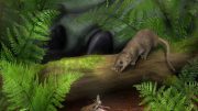 Artistic Reconstruction of Early Mammal Ancestors