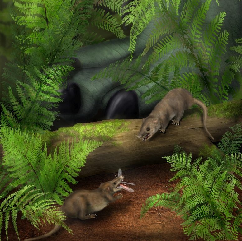 Artistic Reconstruction of Early Mammal Ancestors