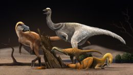 Artistic Reconstruction of Four Representative Alvarezsauroids