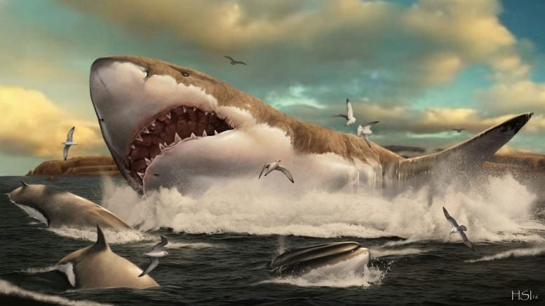Artistic Reconstruction of Otodus Megalodon