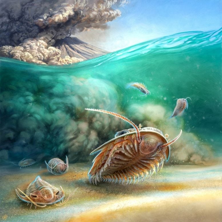 Artistic Reconstruction of Two Species of Trilobite Volcanic Flow