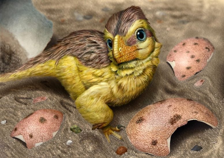 Artistic Reconstruction of a Newly Hatched Troodontid Like Dinosaur