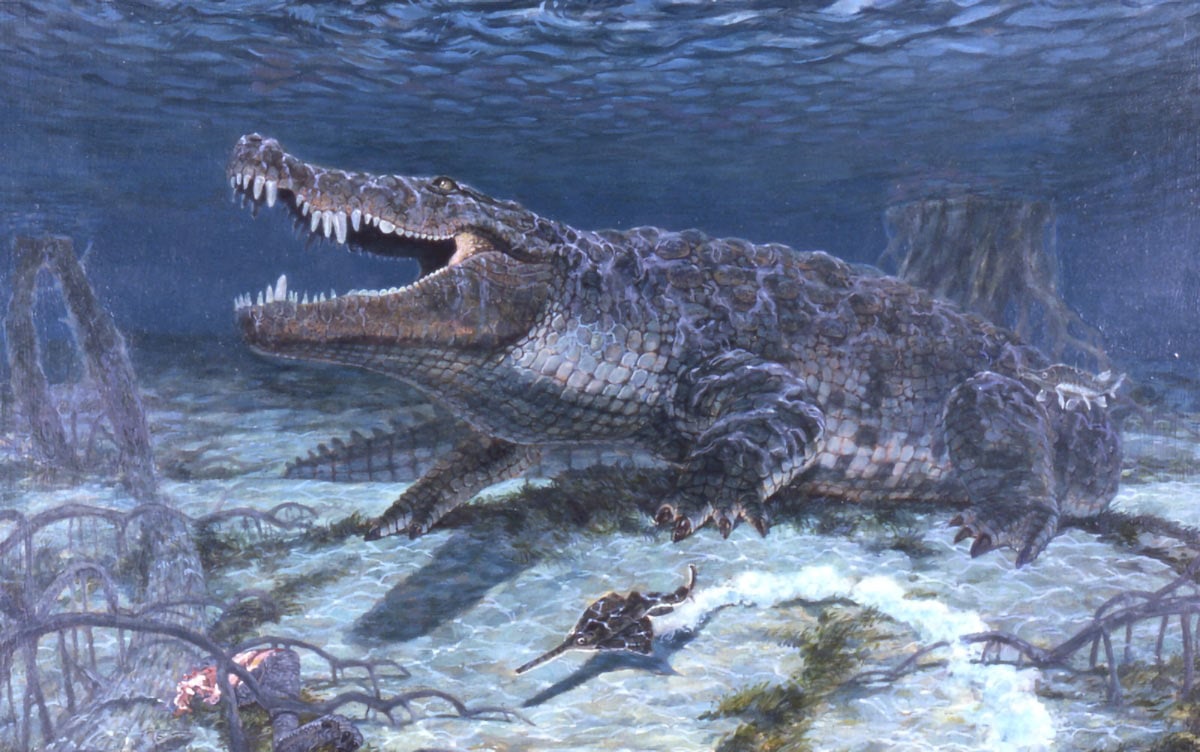Scientists Reconstruct a Giant 31-Foot “Dinosaur-Killer” Crocodile in Unprecedented Detail