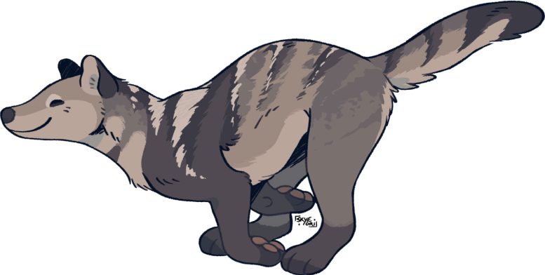 Artistic Representation of Mesocyon Coryphaeus